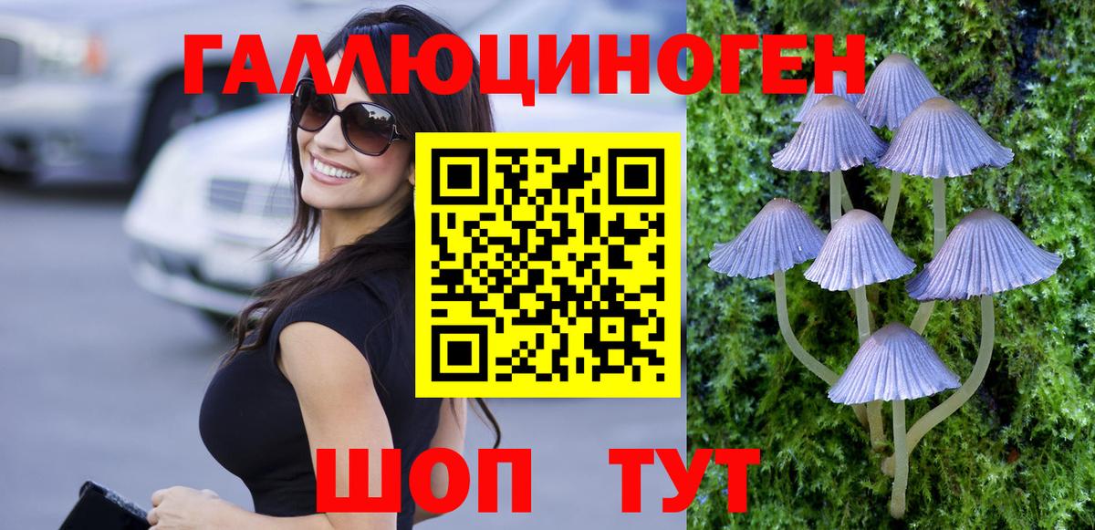 Галлюциногенные грибы Cubensis Алейск