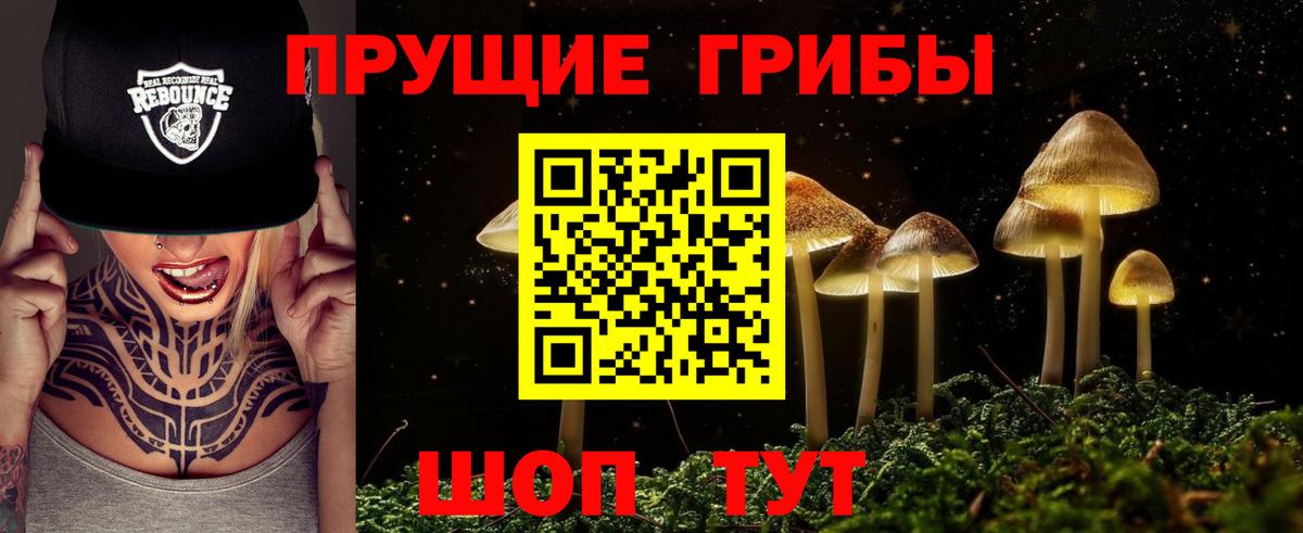 Алейск  Галлюциногенные грибы Magic Shrooms  как найти   Галлюциногенные грибы Cubensis  Вход с VPN 
